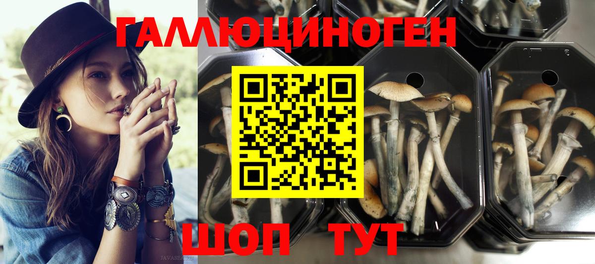 Галлюциногенные грибы Psilocybine cubensis  Вход с VPN  Муром 