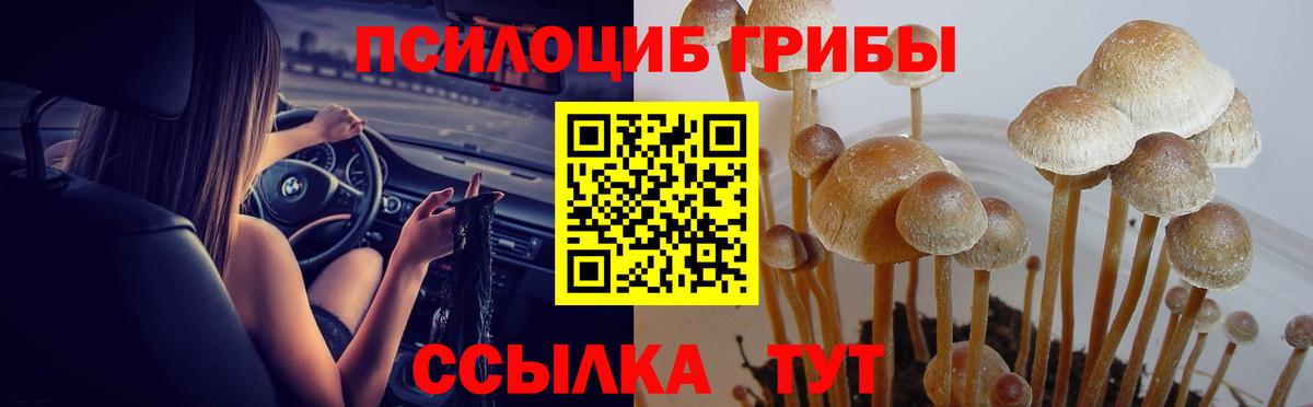 Меф МЯУ МЯУ кристаллы  Cocaine  Муром  LSD-25  Вход с VPN  Каннабис  Alpha-PVP СК  